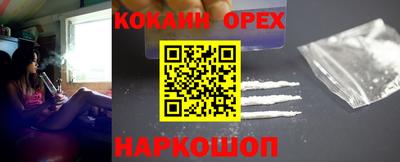 соль ск Бердск