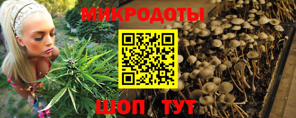 наркошоп  Галлюциногенные грибы Cubensis  Галлюциногенные грибы Magic Shrooms  Вход с VPN  Зеленогорск 