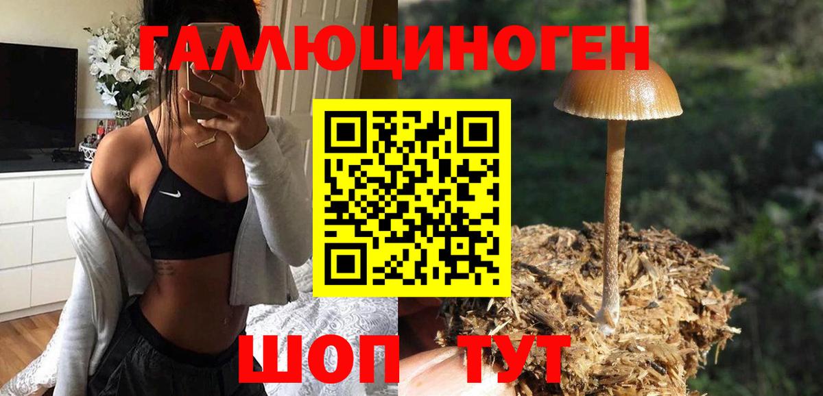 Галлюциногенные грибы MAGIC MUSHROOMS Зеленогорск